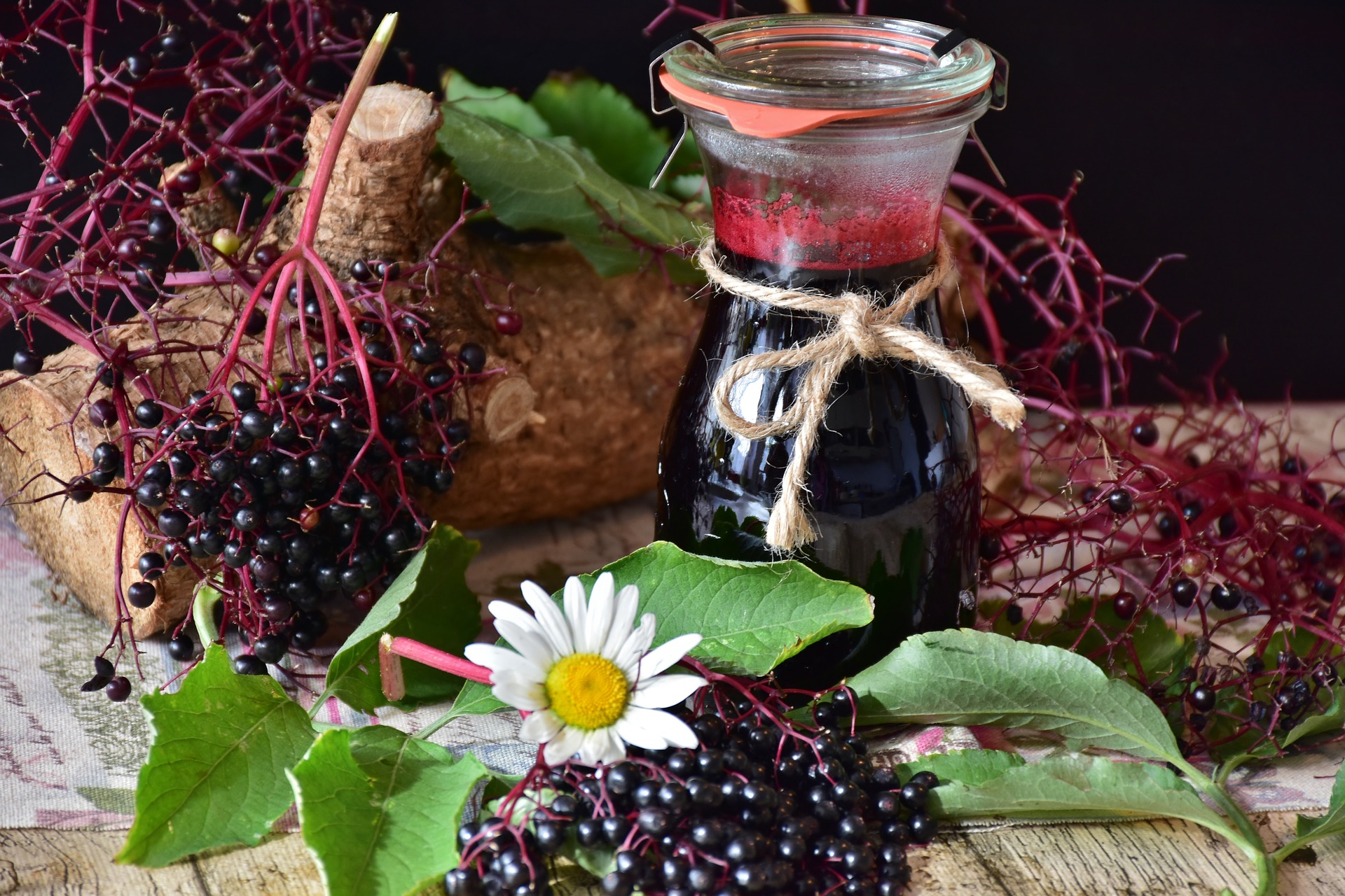 elder-g713652bbb_1920.jpg